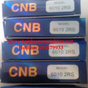 6010-2rs-cnb