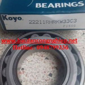 22211 koyo