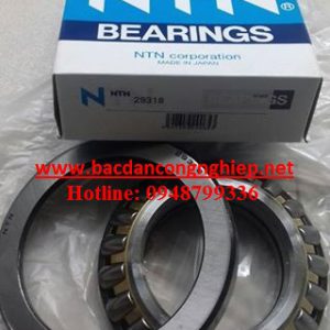 29318 ntn