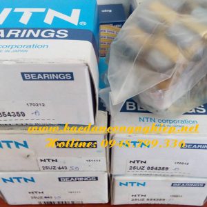 VÒNG BI LỆCH TÂM,BẠC ĐẠN LỆCH TÂM,VÒNG BI HỘP SỐ,BẠC ĐẠN HỘP SỐ,VÒNG BI GIẢM TỐC,BẠC ĐẠN GIẢM TỐC