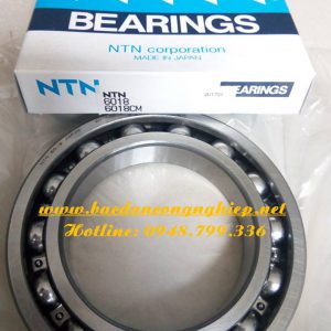 VONG BI,BAC DAN,VÒNG BI,BẠC ĐẠN,VÒNG BI 6018 NTN,VÒNG BI 6018C3,BẠC ĐẠN 6018,BẠC ĐẠN 6018C3
