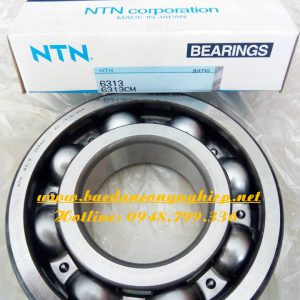 VÒNG BI 6313,BẠC ĐẠN 6313