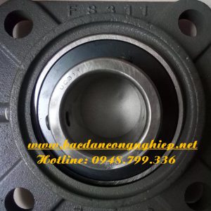 VONG BI JIB,BAC DAN JIB,VONG BI FS311,BAC DAN FS311,VÒNG BI JIB,BẠC ĐẠN JIB,GỐI ĐỠ JIB,GỐI ĐỠ UCFS311,GỐI ĐỠ FS311