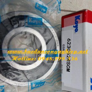 VÒNG BI 62305,BẠC ĐẠN 62305,VÒNG BI 62305Z,BẠC ĐẠN 62305Z