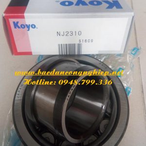 BẢNG GIÁ BẠC ĐẠN,BẢNG GIÁ GỐI ĐỠ