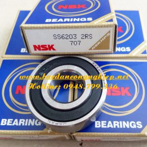 VÒNG BI SS6203 2RS,BẠC ĐẠN SS6203 2RS,VÒNG BI INOX,BẠC ĐẠN INOX,VÒNG BI SS6203,BẠC ĐẠN SS6203