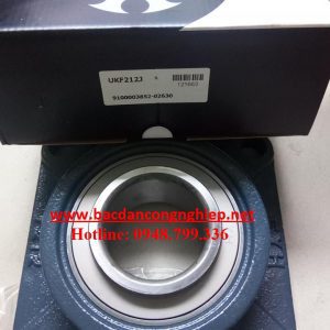 BẠC ĐẠN UCF204,GỐI ĐỠ UCF204,VÒNG BI F204,BẠC ĐẠN F204,GỐI ĐỠ F204