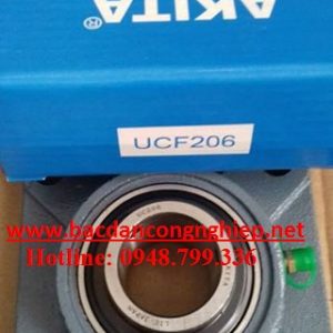 BẠC ĐẠN UCF205,GỐI ĐỠ UCF205,VÒNG BI F205,BẠC ĐẠN F205,GỐI ĐỠ F205