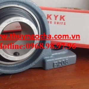 BẠC ĐẠN UCP206,GỐI ĐỠ UCP206,VÒNG BI P206,BẠC ĐẠN P206,GỐI ĐỠ P206