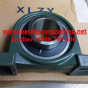 BẠC ĐẠN UCP209,GỐI ĐỠ UCP209,VÒNG BI P212,BẠC ĐẠN P212,GỐI ĐỠ P212