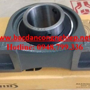 BẠC ĐẠN UCP213,GỐI ĐỠ UCP213,VÒNG BI P213,BẠC ĐẠN P213,GỐI ĐỠ P213