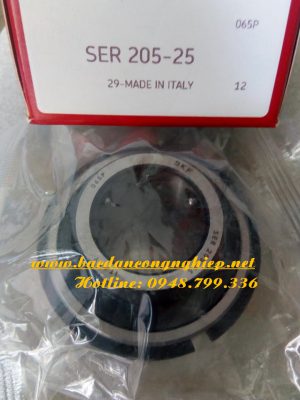 VÒNG BI - BẠC ĐẠN SER205-25