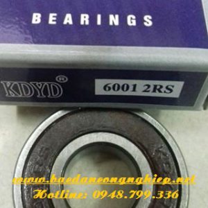 VÒNG BI - BẠC ĐẠN 6000