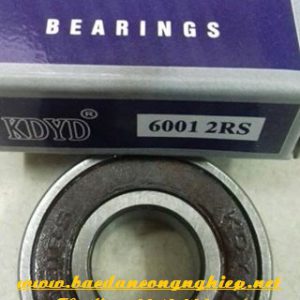 VÒNG BI - BẠC ĐẠN 6003