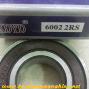 VÒNG BI - BẠC ĐẠN 6004