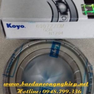 VÒNG BI - BẠC ĐẠN 6010