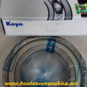 VÒNG BI - BẠC ĐẠN 6013