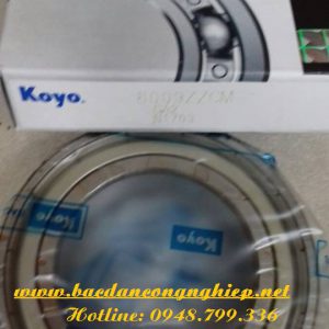 VÒNG BI - BẠC ĐẠN 6014