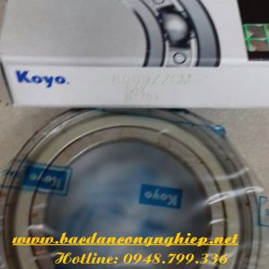 VÒNG BI - BẠC ĐẠN 6017