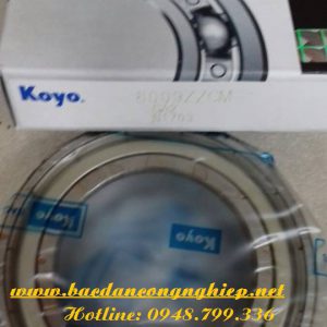VÒNG BI - BẠC ĐẠN 6020