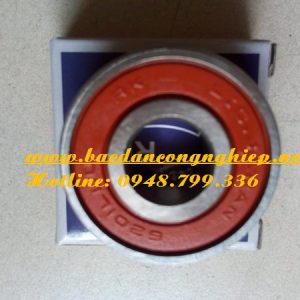 VÒNG BI - BẠC ĐẠN 6200