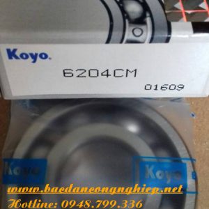 VÒNG BI - BẠC ĐẠN 6204