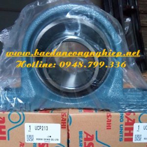 VÒNG BI ASAHI,BẠC ĐẠN ASAHI,GỐI ĐỠ ASAHI,VÒNG BI P213,BẠC ĐẠN P213,GỐI ĐỠ P213