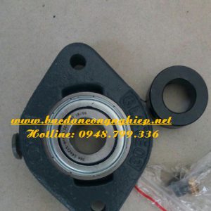 VÒNG BI FLCTE15,BẠC ĐẠN FLCTE15,VÒNG BI INA,BẠC ĐẠN INA,GỐI ĐỠ INA