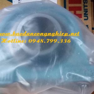 VÒNG BI UCPA308,BẠC ĐẠN UCPA308,VÒNG BI PA308,GỐI ĐỠ UCPA308,BẠC ĐẠN PA308,VÒNG BI ASAHI,BẠC ĐẠN ASAHI