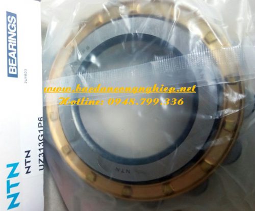 VÒNG BI LỆCH TÂM,BẠC ĐẠN HỘP SỐ,VÒNG BI UZ313,BẠC ĐẠN UZ313,VÒNG BI UZ313G1P6,BẠC ĐẠN UZ313G1P6