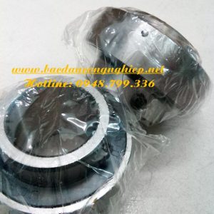 VÒNG BI NSK,BẠC ĐẠN NSK,VÒNG BI UC203,BẠC ĐẠN UC203,GỐI ĐỠ UC203