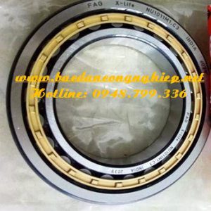 VÒNG BI FAG,BẠC ĐẠN FAG,VÒNG BI NU1011,BẠC ĐẠN NU1011