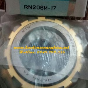 VÒNG BI LỆCH TÂM,BẠC ĐẠN LÊCH TÂM,VÒNG BI RN206-17,BẠC ĐẠN RN206-17