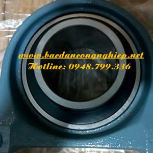 VÒNG BI UCP212,BẠC ĐẠN UCP212,GỐI ĐỠ UCP212