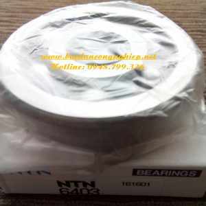 VÒNG BI 6403,BẠC ĐẠN 6403,VÒNG BI NTN,BẠC ĐẠN NTN