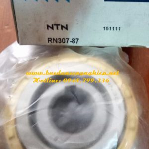 vòng bi rn307-87,bạc đạn rn307-87