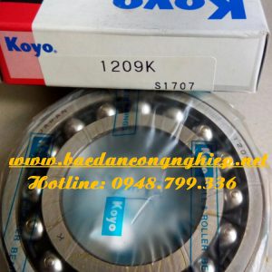 VÒNG BI 1209,BẠC ĐẠN 1209,VÒNG BI 1209K,BẠC ĐẠN 1209K,VÒNG BI KOYO,BẠC ĐẠN KOYO