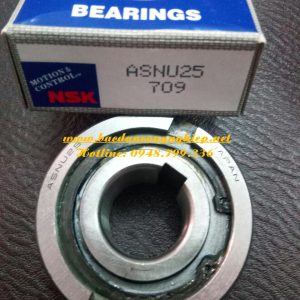 VÒNG BI ASNU25,BẠC ĐẠN ASNU25