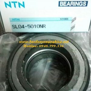 VÒNG BI 5010,BẠC ĐẠN 5010