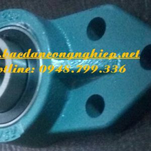 VÒNG BI FB205, BẠC ĐẠN FB205,GỐI ĐỠ FB205