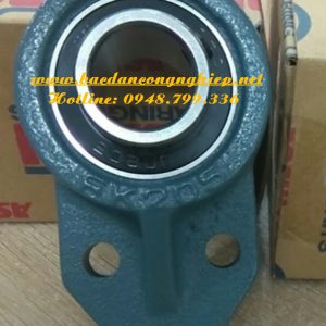 VÒNG BI UCFB206, BẠC ĐẠN UCFB206