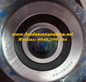 BẠC ĐẠN XE NÂNG