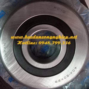 BẠC ĐẠN XE NÂNG