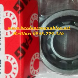 ĐẠI LÝ VÒNG BI FAG