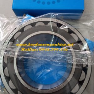 ĐZẠI LÝ BẠC ĐẠN NTN