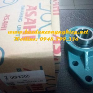 VÒNG BI ASAHI, BẠC ĐẠN ASAHI