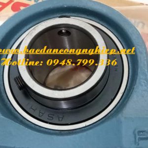 BẠC ĐẠN UCP207 ASAHI