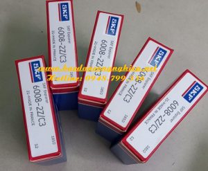 BẠC ĐẠN 6008 2Z/C3