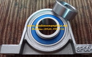 GỐI ĐỠ SP001