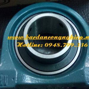 BẠC ĐẠN UCP209 ASAHI